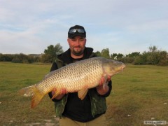 Ebro