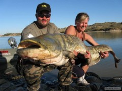 Ebro