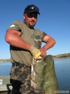 Ebro