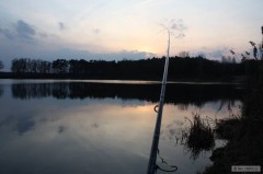 Kliknutím fotografii zvětšíte feeder v akci