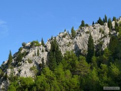 Kliknutím fotografii zvětšíte Krka
