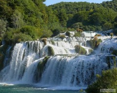 Kliknutím fotografii zvětšíte Krka