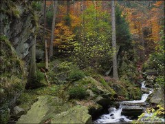 Kliknutím fotografii zvětšíte Rešovské v.