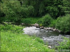 Moravice