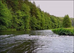 Moravice
