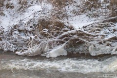 Kliknutím fotografii zvětšíte na řece