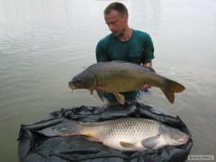 Kliknutím fotografii zvětšíte Duo carp