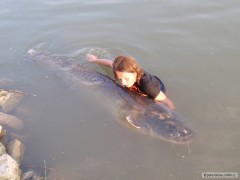Kliknutím fotografii zvětšíte