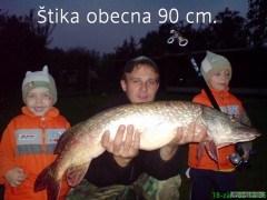 Kliknutím fotografii zvětšíte štika