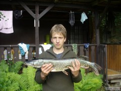 Kliknutím fotografii zvětšíte Štika 82cm
