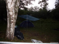LETO 2010