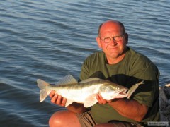Kliknutím fotografii zvětšíte EBRO 2010