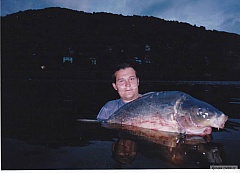 Kliknutím fotografii zvětšíte Dagles