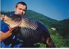 Kliknutím fotografii zvětšíte I takhle se pokazit tak krásný kapr
