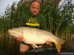 Kliknutím fotografii zvětšíte 98cm 18kg