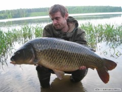 Kliknutím fotografii zvětšíte Začátek léta.. 2010