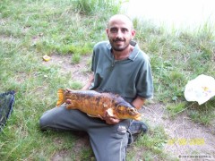 p�knej 72 cm