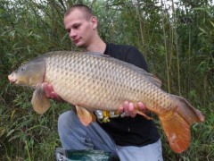 82cm, 10kg