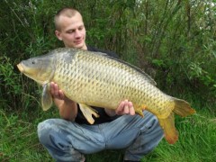 84cm, 11,5kg