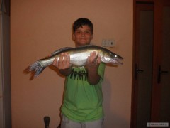 M�j zub�� 56cm