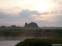 Kliknutím fotografii zvětšíte Co je krásnjší ? 2008/06/28