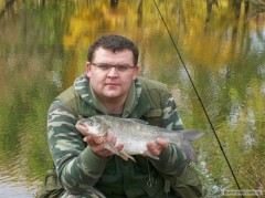 Kliknutím fotografii zvětšíte Bolen dravý 2009/10/30 III.