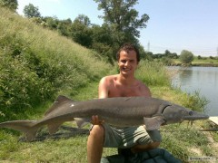 Kliknutím fotografii zvětšíte Jeseter sibiřský 134cm