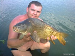 Kliknutím fotografii zvětšíte Kapr 78 cm Zaječí 2010/07/17