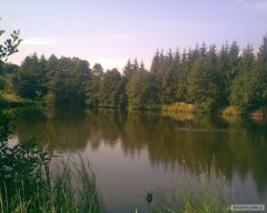 Kliknutím fotografii zvětšíte