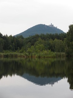 Obora