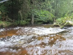 Jednou takhle na pstrou�k�ch :-)