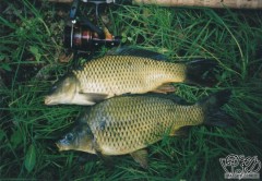 01; Moji první kapři, 12.5.01, Mastník 1