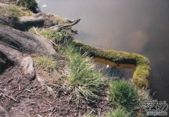 Kliknutím fotografii zvětšíte 13; 18.4.99, Smutná 3.jpg
