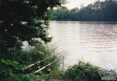 Kliknutím fotografii zvětšíte 23; Květnové odpoledne, 21.5.00, Mastník 1.jpg