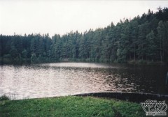Kliknutím fotografii zvětšíte 27; Rybník Sýkorák na Vysočině-revír mého dětství III, 11.8.00.jpg
