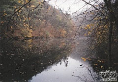 Kliknutím fotografii zvětšíte 36; Podzimní ráno v slapské zátoce, 4.11.01.jpg