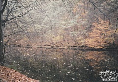 Kliknutím fotografii zvětšíte 37; Podzimní ráno v slapské zátoce II, 4.11.01