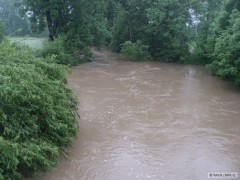 Kliknutím fotografii zvětšíte Doubravka 2010