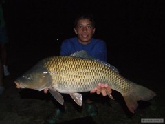 Kliknutím fotografii zvětšíte Leto 2010