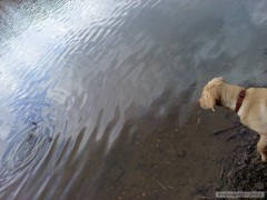 Kliknutím fotografii zvětšíte :)