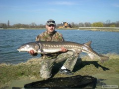 Kliknutím fotografii zvětšíte Jelka 2011