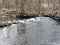 Kliknutím fotografii zvětšíte