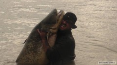 Kliknutím fotografii zvětšíte Sumec z padu90kg2011