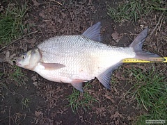 Kliknutím fotografii zvětšíte Cejn 52cm