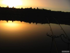 M� nov� feedry