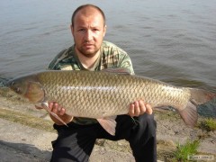 Kliknutím fotografii zvětšíte Dyje 5 90cm 10kg amur