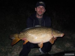 Kapr 80cm-10,5Kg