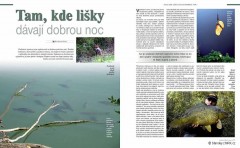 Kliknutím fotografii zvětšíte Článek č.3