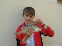 okoun37cm