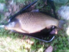 nov� osob��ek 77cm, 9 Kg